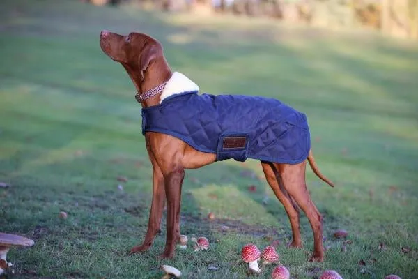Kentucky Dog Coat